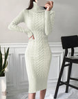 Warm Knitted Bodycon Turtleneck Dress for Autumn/Winter